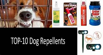 Dog Repellent Sprays