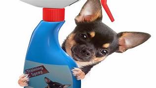  Dog Repellent Sprays