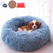 Best Dog Beds In 2023 