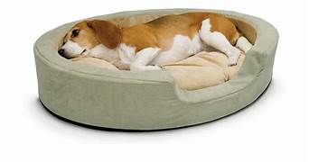 Top 8 Best Dog Beds 
