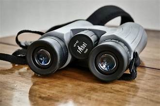 Top 10 Best Compact Binoculars