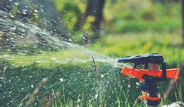 Top 9 Best Motion Activated Sprinklers