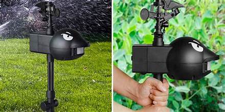 Top 9 Best Motion Activated Sprinklers