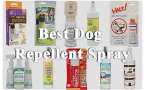 Top 10 Best Dog Repellent Sprays