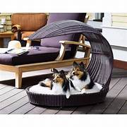 Top 8 Best Dog Beds In 2023